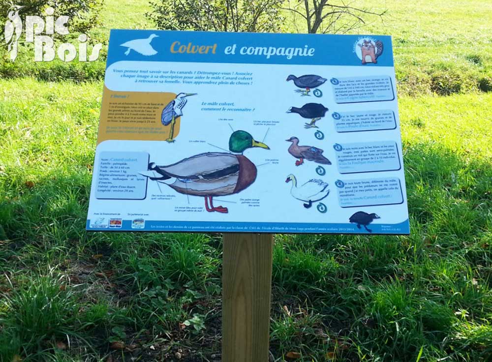 Signalétique touristique - Table de lecture - Thématique canards - Fabrication PIC BOIS