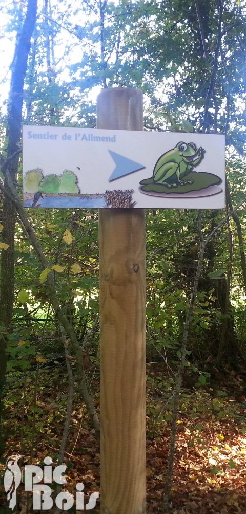 Signalétique touristique - Directionnel sentier - Grenouille - Fabrication PIC BOIS