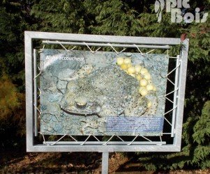 69-st-pierre-la-palud-baches-tendues-bache-imprimee-grenouille.jpg Signalétique touristique - Bâche - Imprimée grenouille - Fabrication PIC BOIS