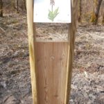 Mobilier interactif – L’orchis pourpre
