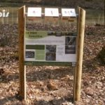 Mobilier interactif – Mare forestière