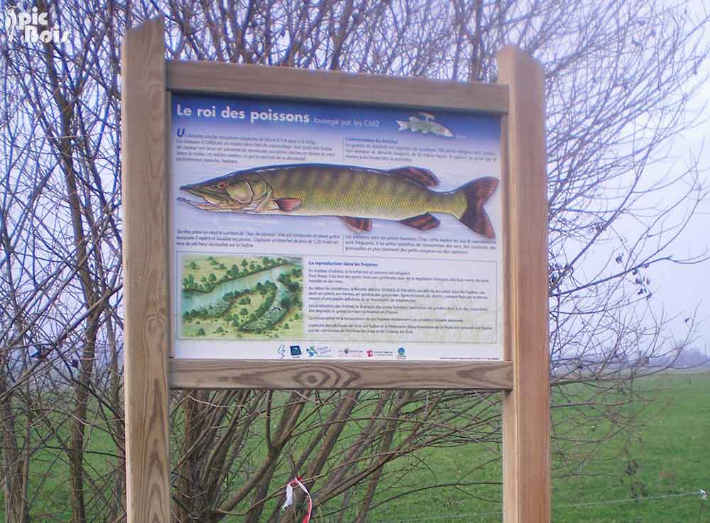 Signalétique touristique - Panneau d'information - Les poissons - Fabrication PIC BOIS