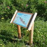 Table de lecture – Dépollution des eaux