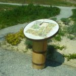 Panneau de jeu – Taquin vigne