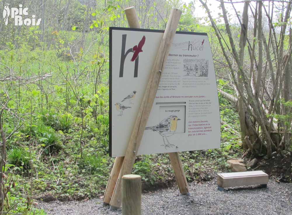 Signalétique touristique - Mobilier interactif - Rouge-gorge - Fabrication PIC BOIS