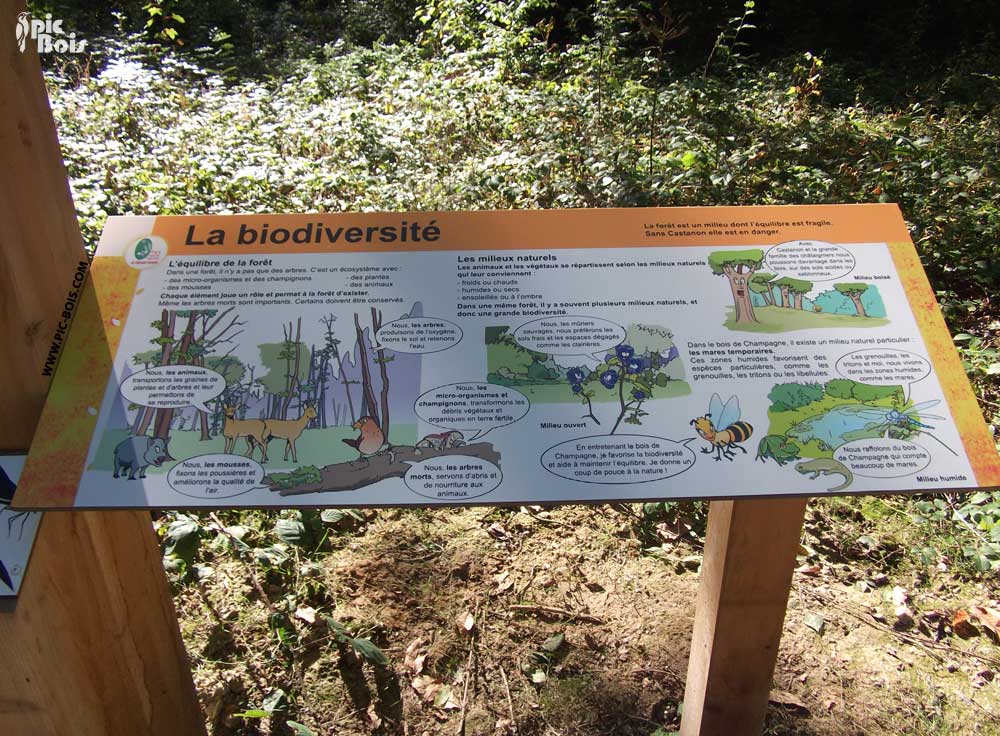 Signalétique touristique - Table de lecture - Biodiversité - Fabrication PIC BOIS