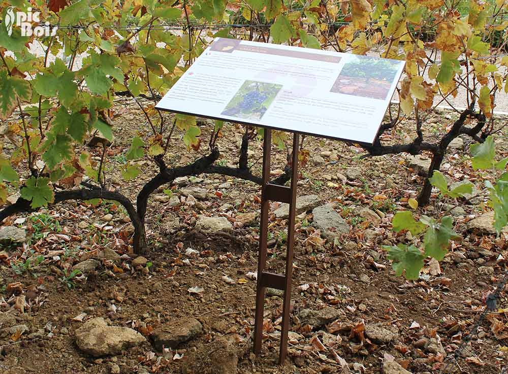 Signalétique touristique - Table de lecture - Le vignoble - Fabrication PIC BOIS