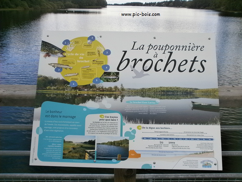 Signalétique touristique - Table de lecture - Cycle de vie - Fabrication PIC BOIS