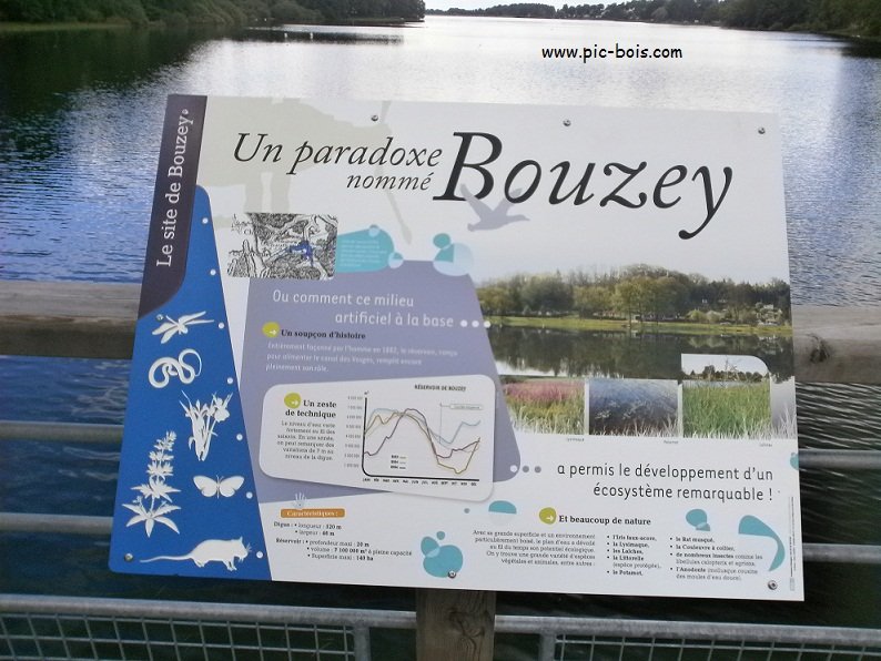 Signalétique touristique - Table de lecture - Ecosystème du lac - Fabrication PIC BOIS