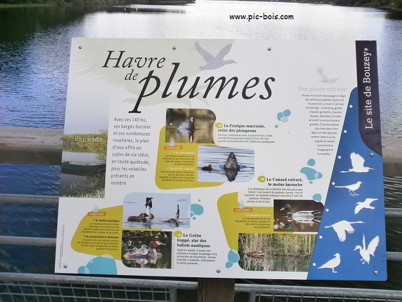 Signalétique touristique - Table de lecture - Les oiseaux du lac - Fabrication PIC BOIS