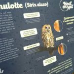 Table de lecture – Sentier nocturne