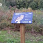 Table de lecture – Le sentier nocturne