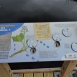 Mobilier interactif – Les coléoptères