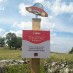 Course d’orientation – Chasse au trésor