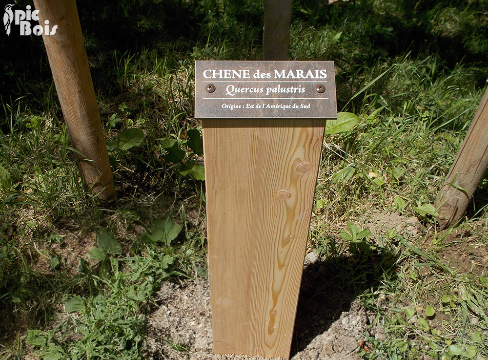 Les plaques thématiques et arboretum - Groupe PIC BOIS - Fabricant de  signalétique touristique et mobiliers