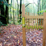 Parcours sensoriel – Xylophone le bois