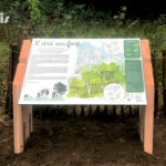 Table de lecture – Il était une forêt