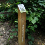 Plaque arboretum – Tilleul commun