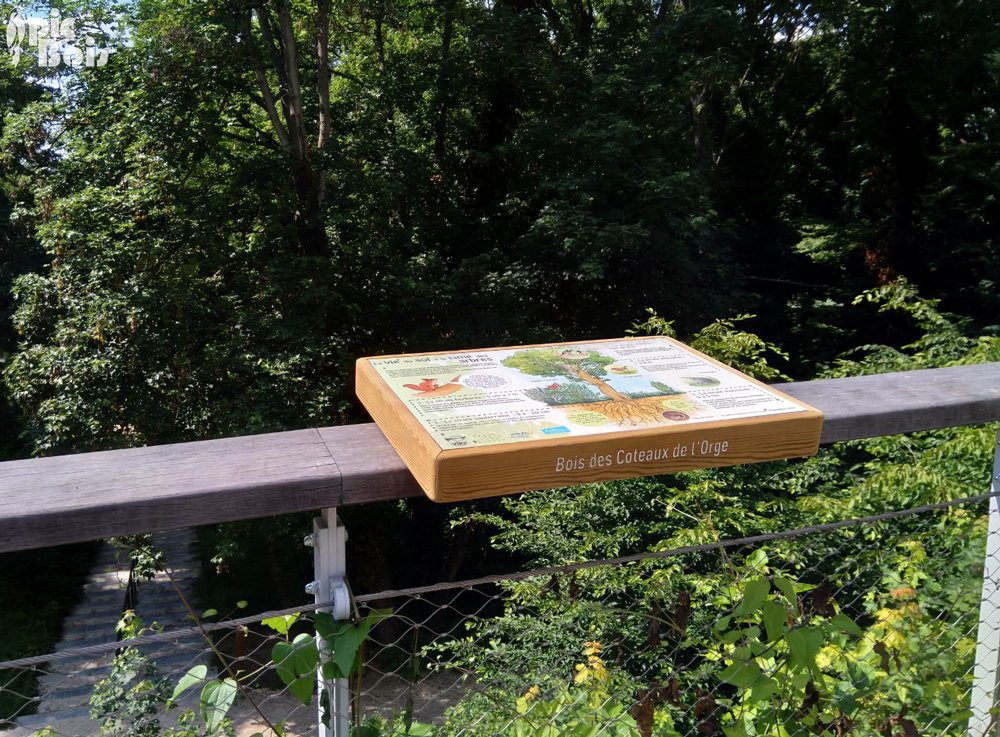 Signalétique touristique - Table de lecture - Du sol à la cime - Fabrication PIC BOIS