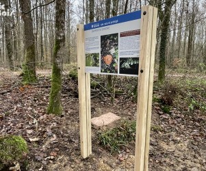 Signalétique touristique - Panneau d'information - Empreinte sonore - Fabrication PIC BOIS