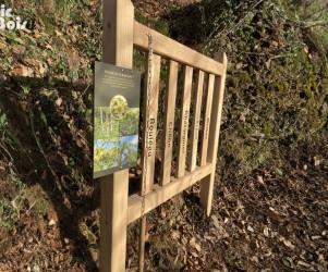 Signalétique touristique - Parcours sensoriel - Xylophone en bois - Fabrication PIC BOIS