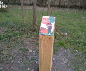 Signalétique touristique - Plaque arboretum - Arbre de fer - Fabrication PIC BOIS