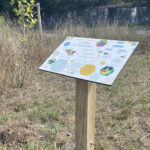 Table de lecture – Les abeilles