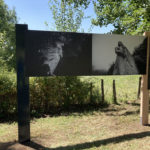 Mobilier d’exposition – Montage photo