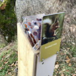 Mobilier interactif – Ecureuil roux