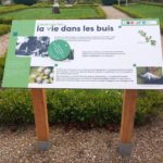 Mobilier interactif – La vie dans les buis