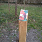 Plaque arboretum – Arbre de fer