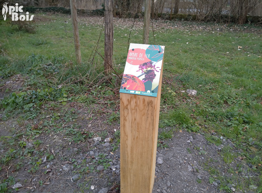 Signalétique touristique - Plaque arboretum - Arbre de fer - Fabrication PIC BOIS