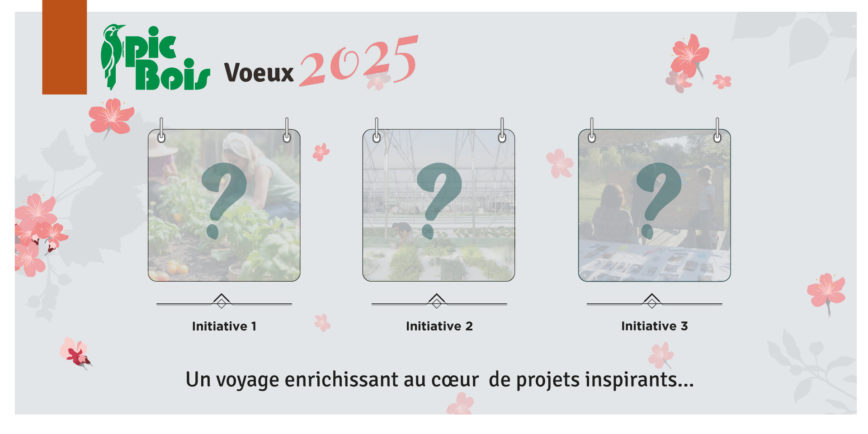 PIC BOIS vous souhaite une belle année 2025