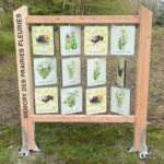 Mobilier interactif – Memory nature