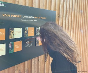 Signalétique touristique - Mobilier interactif - Vrai ou faux - Fabrication PIC BOIS