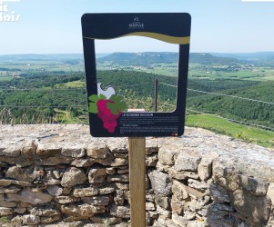 Signalétique touristique - Parcours sensoriel - Fenêtre sur vignoble - Fabrication PIC BOIS