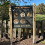 Mobilier interactif – Cercles pivotants
