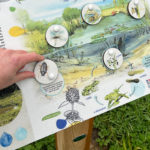Mobilier interactif – Disques mare