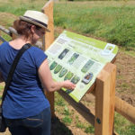 Mobilier interactif – Prairie naturelle