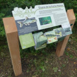Mobilier interactif – Puzzle poisson