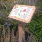 Table de lecture – Cité des sciences