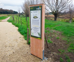 Signalétique touristique - Totem d'information ludique de l'Étang Salé de Courthézon - Fabrication PIC BOIS