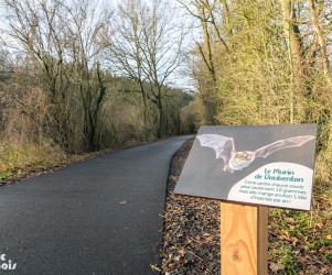 Signalétique touristique - Plaque thématique - Murin de Daubenton - Burdinne - Fabrication PIC BOIS