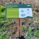 Table de lecture – Faune de l’étang