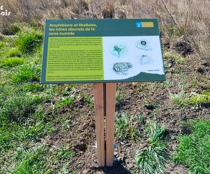 picbois – Table de lecture – Faune de l’étang 84-Orange Signalétique touristique - Table de lecture - Faune de l'étang - Fabrication PIC BOIS