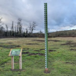 Totem – Règle repère de crue