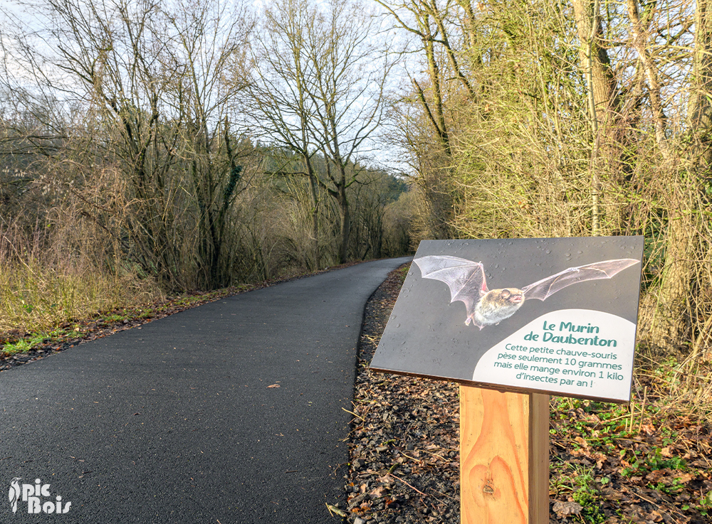 Signalétique touristique - Plaque thématique - Murin de Daubenton - Burdinne - Fabrication PIC BOIS