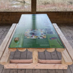 Table de pique nique – Jeux de plateaux