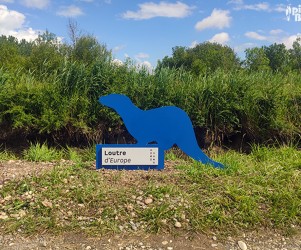 picbois-silhouette-faune-33-saint-laurent-medoc Signalétique touristique - Parcours sensoriel - Silhouette en acier découpé Loutre - Fabrication PIC BOIS
