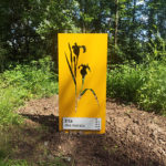 Silhouette – Acier découpé iris